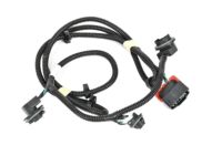 OEM 2011 Chevrolet Silverado 2500 HD Socket & Wire - 20840284