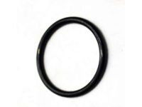 OEM Chevrolet Express Injector O-Ring - 94013303