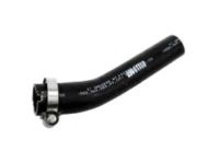 OEM GMC Filler Hose - 15842789