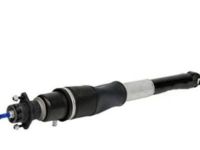 OEM Buick Lucerne Shock Absorber - 19302768