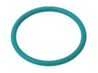 OEM Buick Oil Seal - 55487654