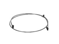 OEM Cadillac Washer Hose - 22955506