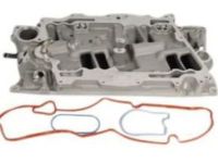 OEM 1999 Chevrolet C1500 Manifold Kit, Lower Intake - 17113201