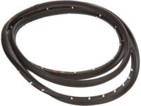 OEM 1996 GMC P3500 Weatherstrip Asm-Front Side Door - 15975379