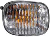 OEM Buick Terraza Daytime Run Lamp - 15794333