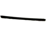 OEM 2017 GMC Savana 2500 Belt Weatherstrip - 15753758