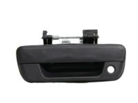 OEM 2008 Chevrolet Colorado Handle - 25801998