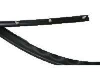 OEM 1999 Pontiac Grand Am Weatherstrip Asm-Roof Side Rail - 22614341