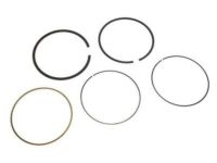 OEM 2008 Cadillac Escalade Piston Rings - 89018049