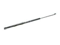 OEM Chevrolet Trailblazer EXT Strut Asm-Lift Gate Window - 15050924