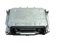 OEM 2008 Buick Enclave Module - 15849727