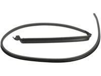 OEM Hummer H2 Weatherstrip - 25868657