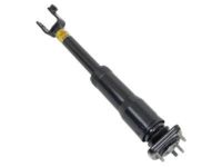 OEM 2009 Cadillac CTS Shock - 25884699