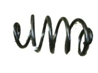 OEM Buick Commercial Chassis Coil Spring - 22076528