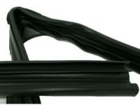 OEM Cadillac Run Weatherstrip - 20869144