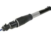 OEM Buick Lucerne Shock Absorber - 19302769