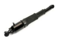 OEM 2009 Cadillac XLR Shock Absorber - 19302781