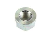 OEM 2005 Chevrolet Aveo Lock Nut - 94515438