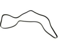 OEM 2006 Chevrolet Malibu Serpentine Belt - 12577771