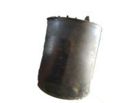 OEM 1985 Chevrolet Monte Carlo Canister - 17064622