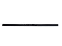 OEM 2005 Buick Rainier Belt Weatherstrip - 25864093