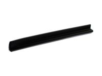 OEM Chevrolet Lower Molding - 25824824