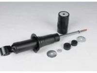 OEM 2007 Chevrolet Colorado Front Shock Absorber Kit - 19153641