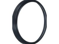 OEM 2022 Chevrolet Express 2500 Front Seal - 24585065