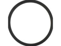 OEM Chevrolet Classic Outlet Pipe Seal - 3522676