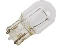OEM Chevrolet Taillamp Bulb - 13579198