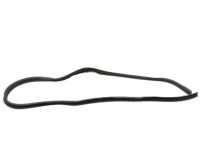 OEM Hummer H2 Weatherstrip On Body - 15131021