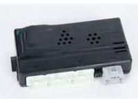 OEM Saturn Body Control Module - 19116645