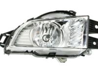 OEM Buick Fog Lamp Assembly - 22950977