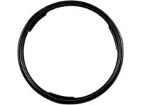 OEM GMC C3500 Module Seal - 22515965