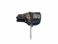 OEM 2007 Chevrolet Trailblazer Shifter - 15922397