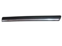 OEM Chevrolet Silverado 1500 Classic Molding, Front Side Door - 15199305