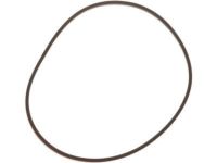 OEM Chevrolet Express Extension Housing Seal - 24208660