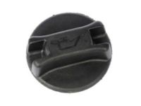 OEM Chevrolet City Express Filler Cap - 19317324