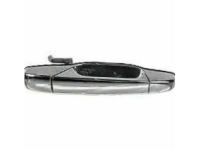 OEM 2013 Chevrolet Avalanche Handle, Outside - 84053436
