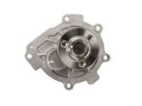 OEM 2015 Chevrolet Cruze Water Pump Assembly - 25195119
