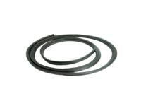 OEM Hummer H2 Weatherstrip - 15772338