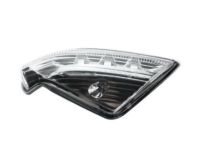 OEM Buick Turn Signal Lamp - 20760212