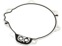 OEM Chevrolet Express Extension Housing Seal - 24265798