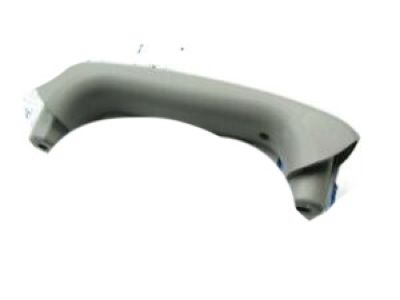 Hyundai 81756-3E001-6T Tail Gate Grip Handle