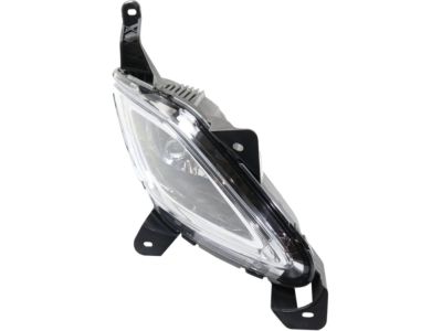 Hyundai 92202-3M210 Front Passenger Side Fog Light Assembly