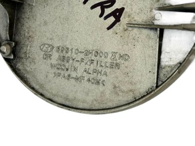 Hyundai 69510-2H000 Fuel Filler Door Assembly