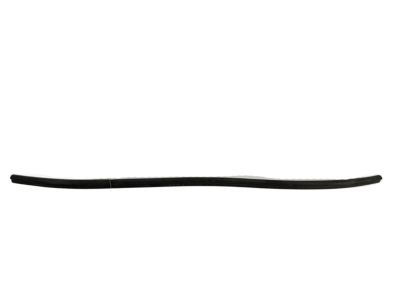 Hyundai 86430-F2000 Weatherstrip-Hood