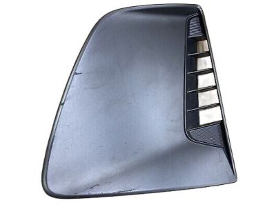 Hyundai 86518-G2000 Cover-D.R.L Blanking, RH