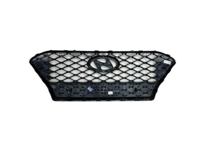 Hyundai 86350-J9000 Radiator Grille Assembly