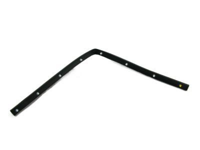 Hyundai 86436-3V000 Strip-Seal Hood